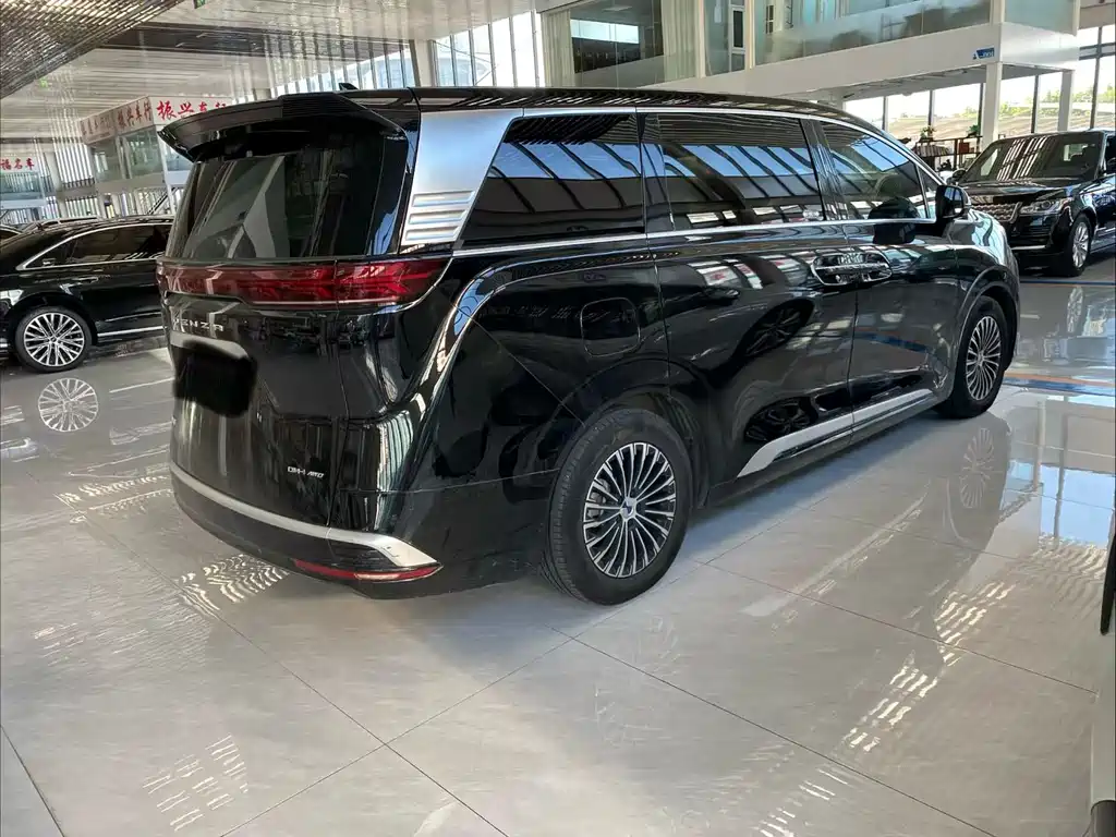 Denza Denza D9 — миниатюра 6