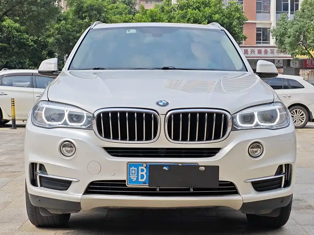 BMW X5 (Import) — миниатюра 2