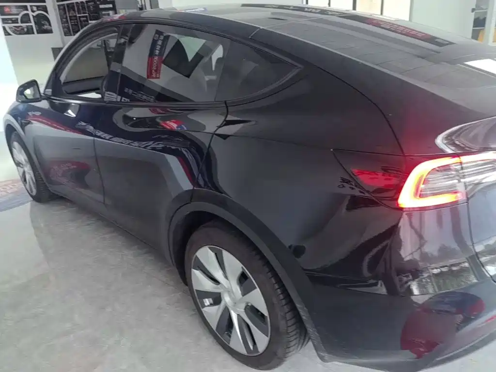 Tesla Model Y — миниатюра 5