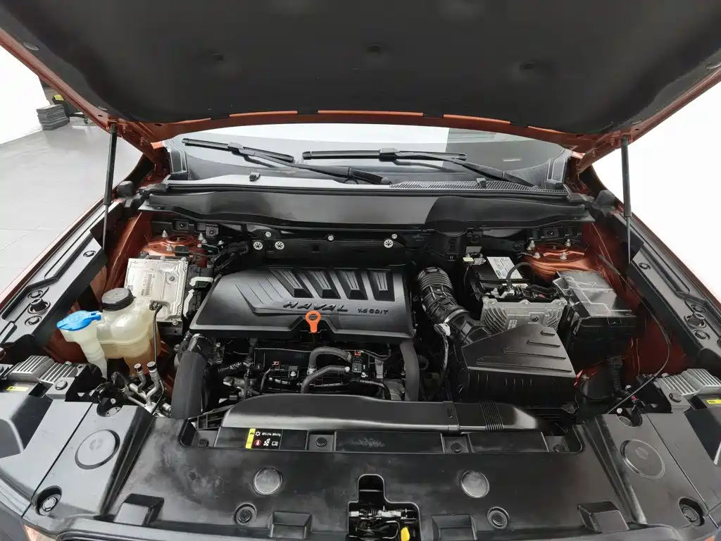 Haval Big Dog — миниатюра 6