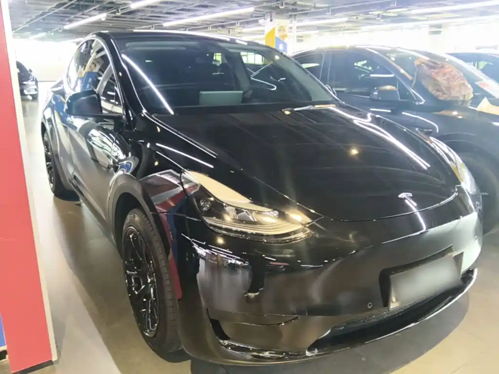 Tesla Model Y — миниатюра 4