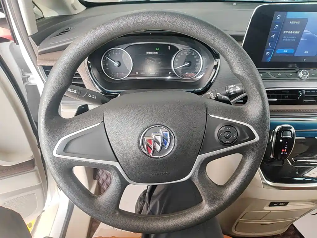 Buick GL8 — миниатюра 11