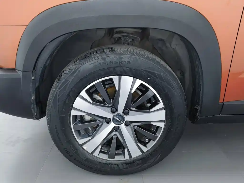 Haval Big Dog — миниатюра 17