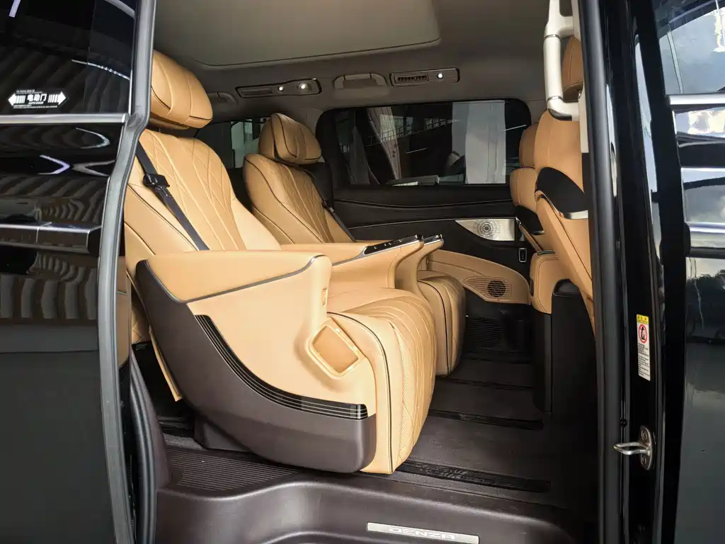 Denza Denza D9 — миниатюра 15