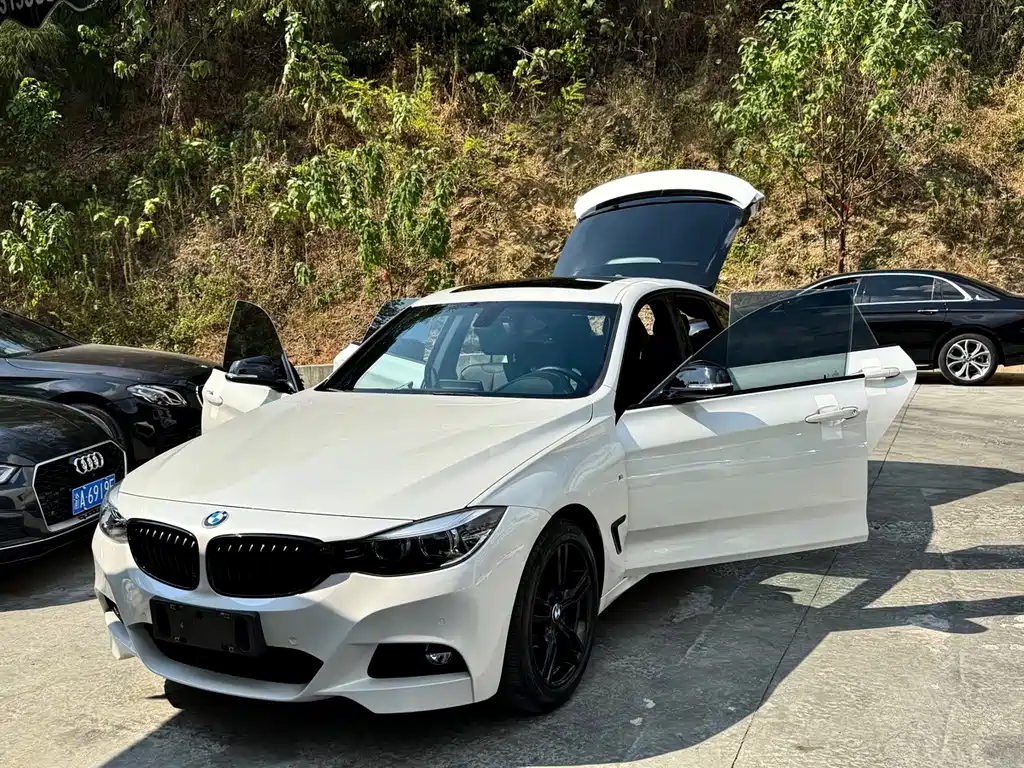 BMW 3 Series GT — миниатюра 20