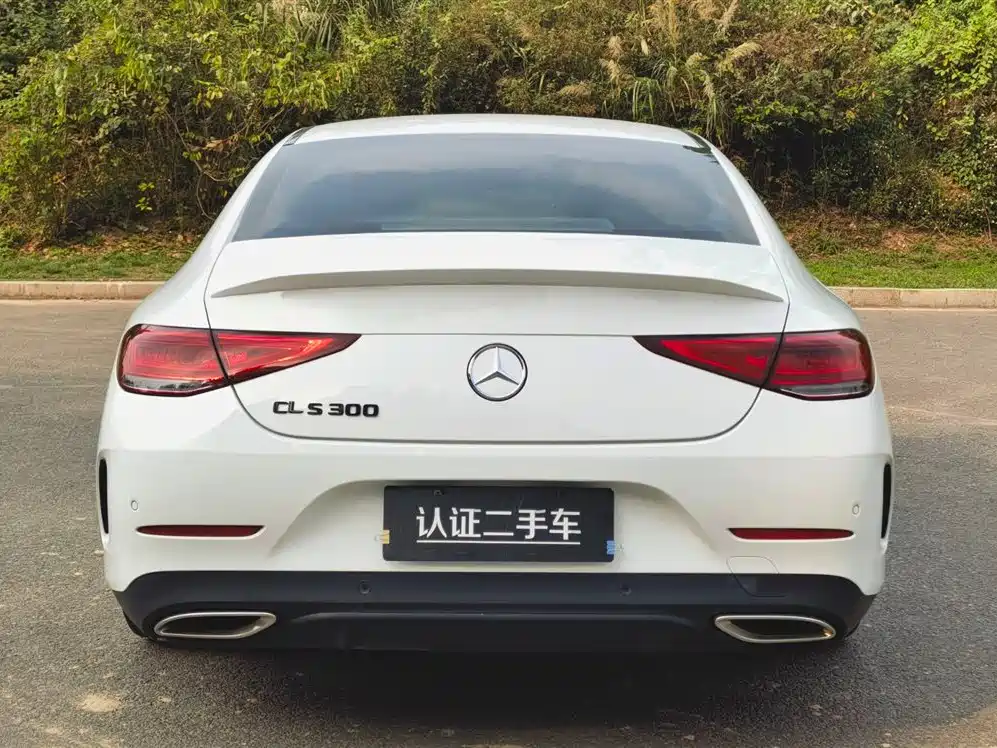 Mercedes-Benz CLS 2021 CLS 300 Luxury