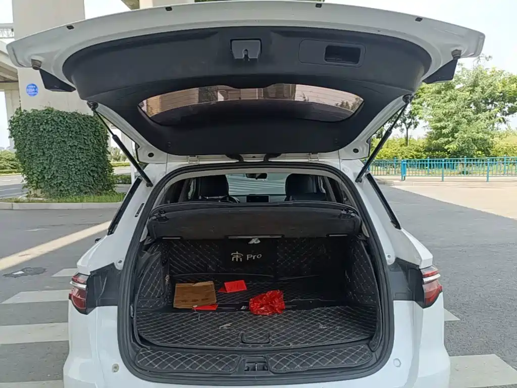 BYD Pro — миниатюра 19