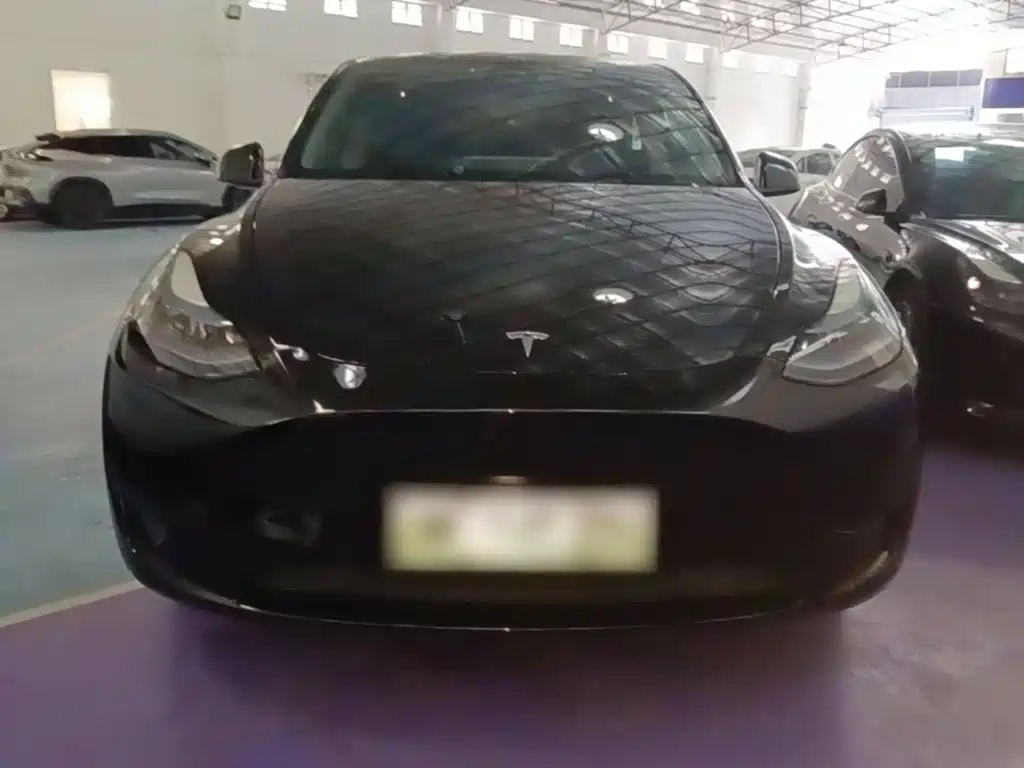 Tesla Model Y — миниатюра 3