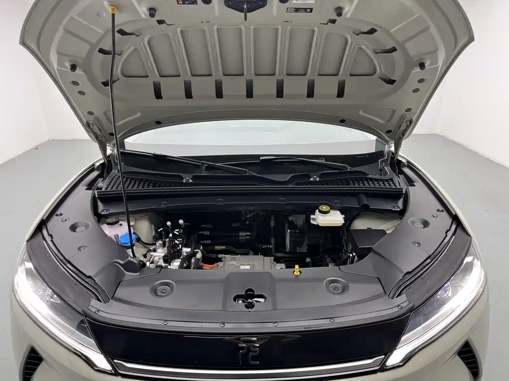 BYD Yuan UP — миниатюра 20