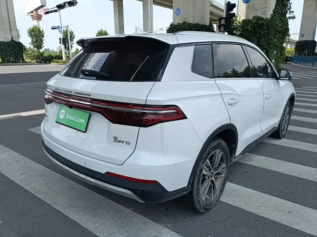 BYD Pro — миниатюра 7