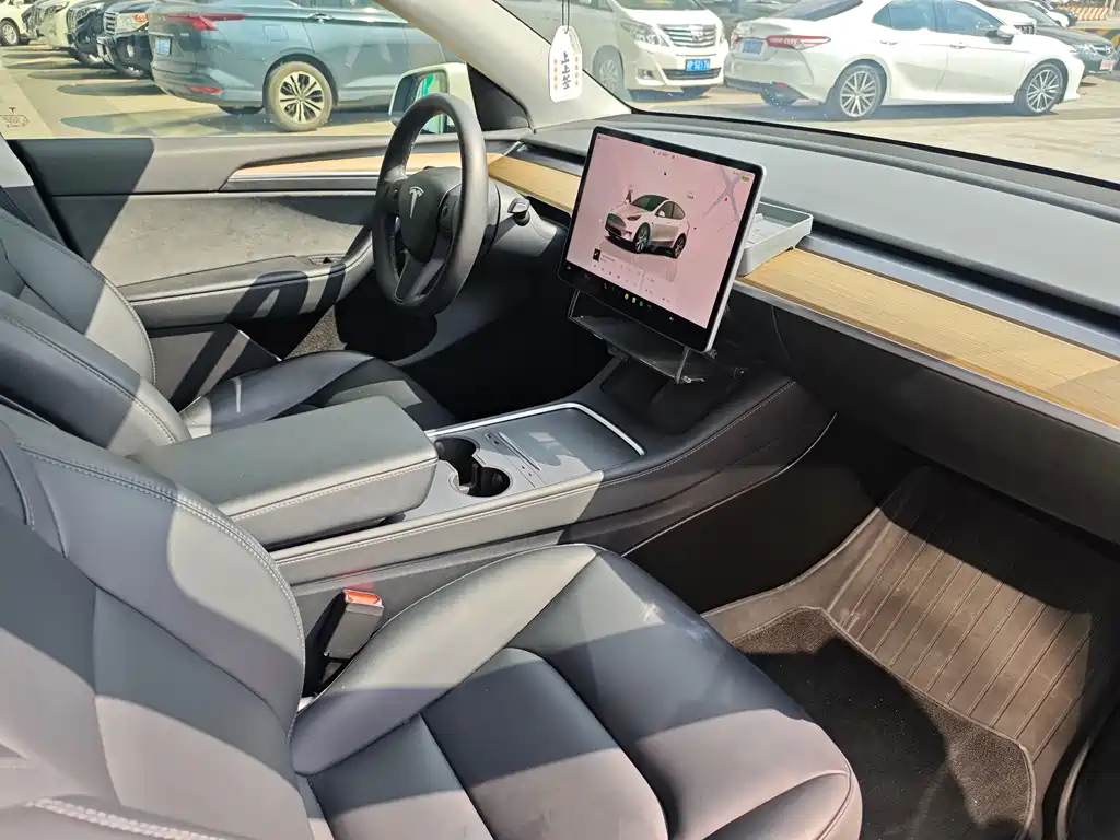 Tesla Model Y — миниатюра 23