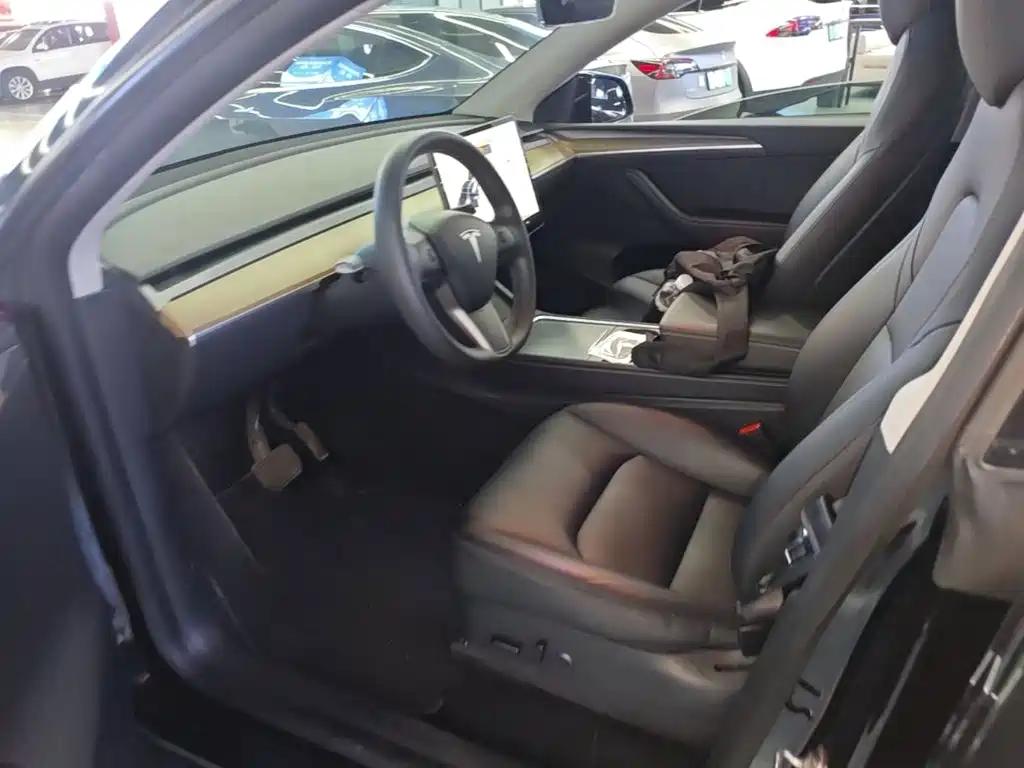 Tesla Model Y — миниатюра 15