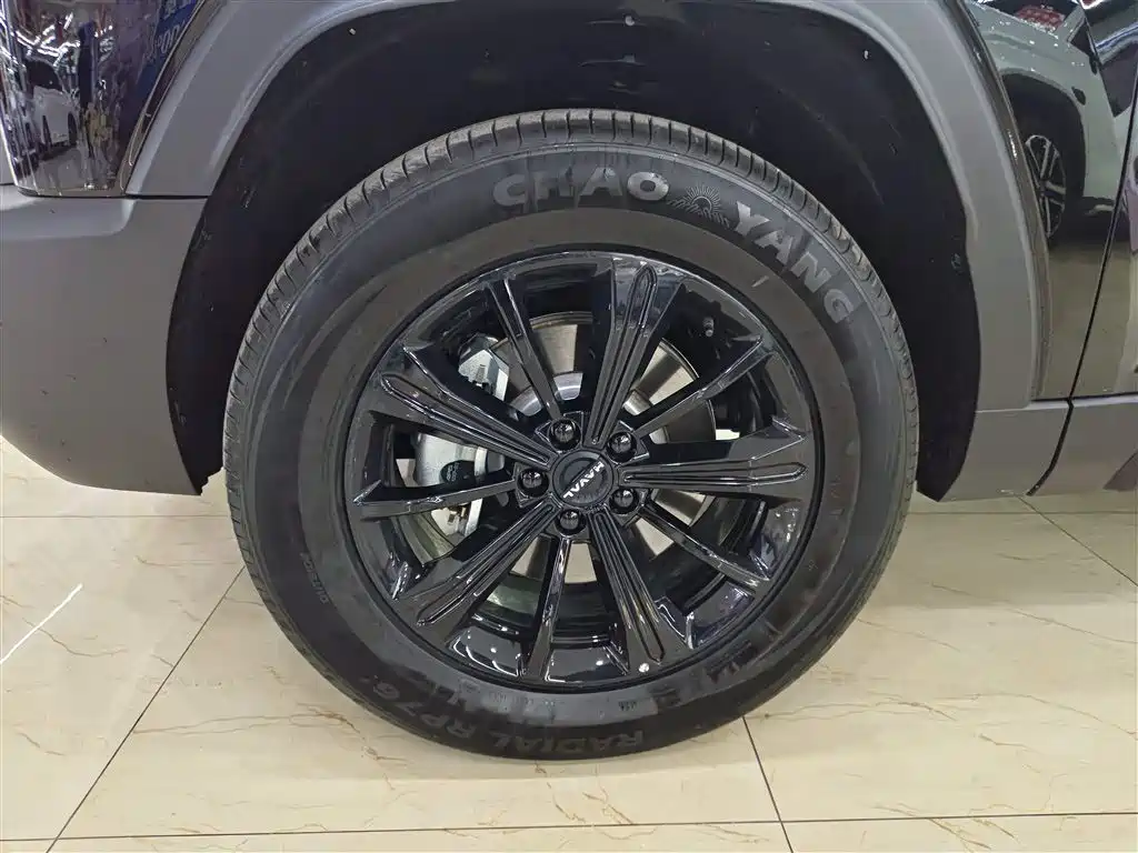 HAVAL RAPTORS NEW ENERGY