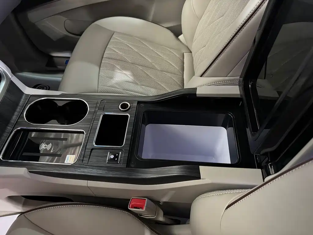 Buick GL8 — миниатюра 15