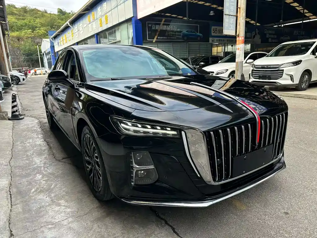 Hongqi Hongqi H5 — миниатюра 3