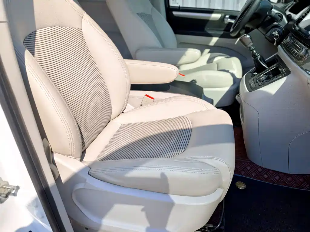 SAIC MAXUS CHASE G10