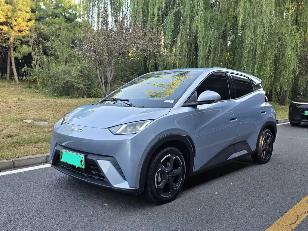 BYD Seagull
