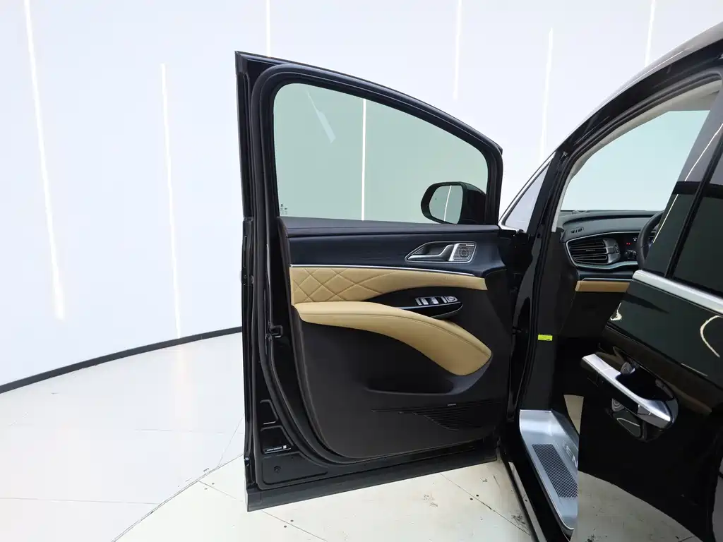 Denza Denza D9 — миниатюра 9
