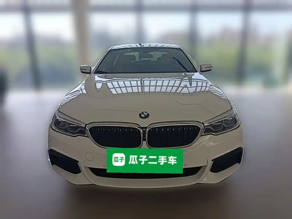 BMW 5 Series (Import) — миниатюра 5