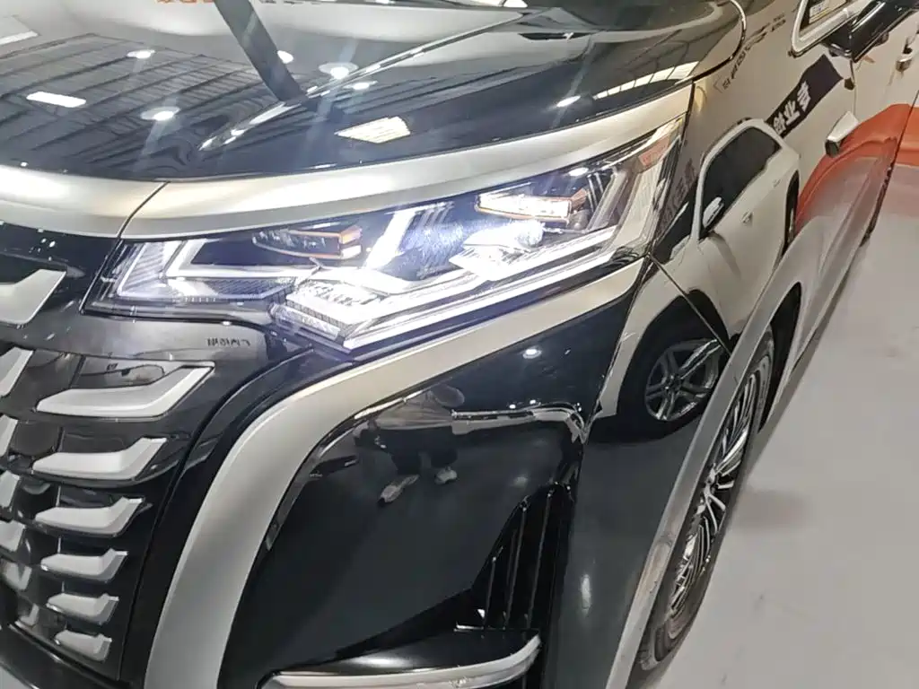 Denza Denza D9 — миниатюра 24