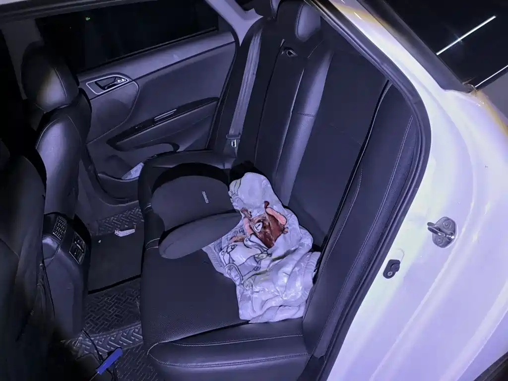 Hyundai Mistra — миниатюра 13