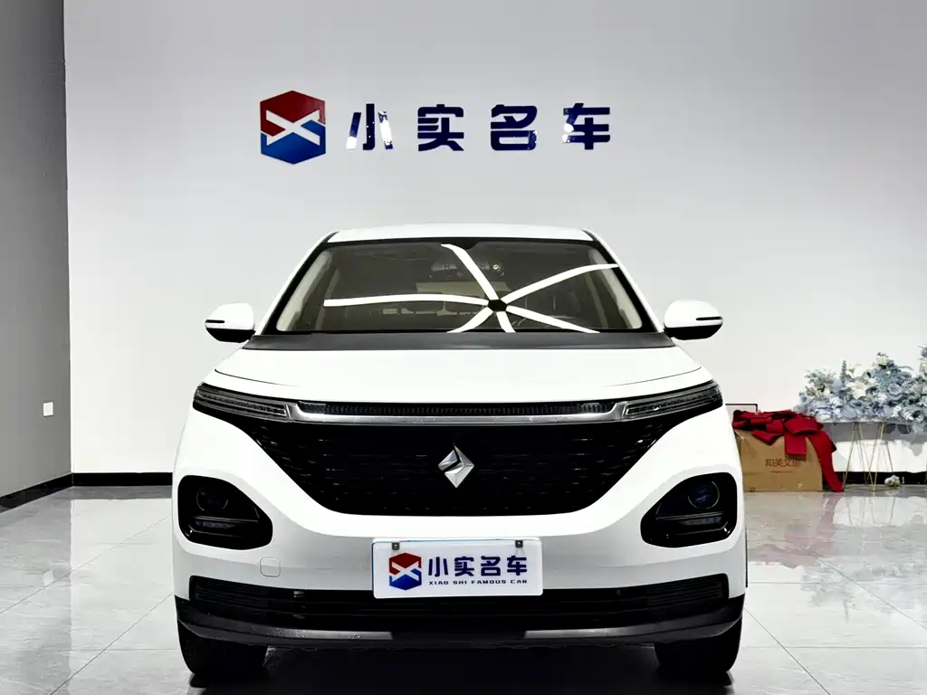 BAOJUN RM 5