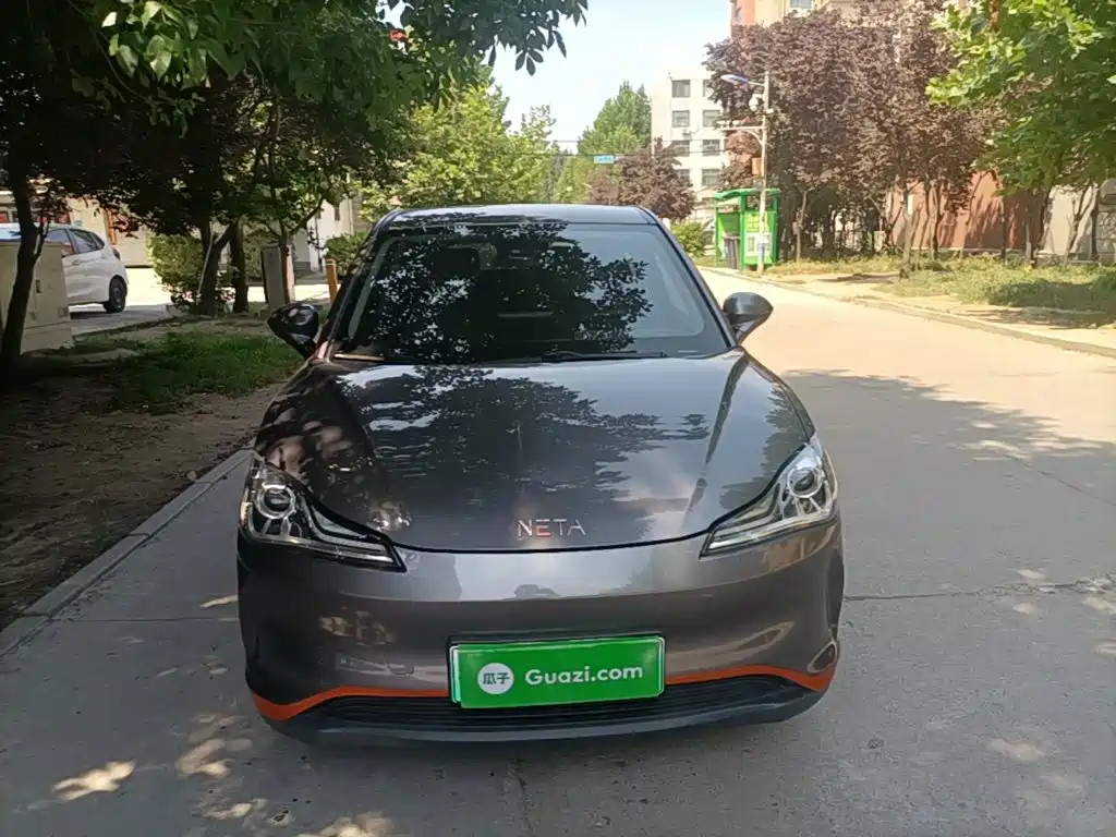 Neta Neta V — миниатюра 3
