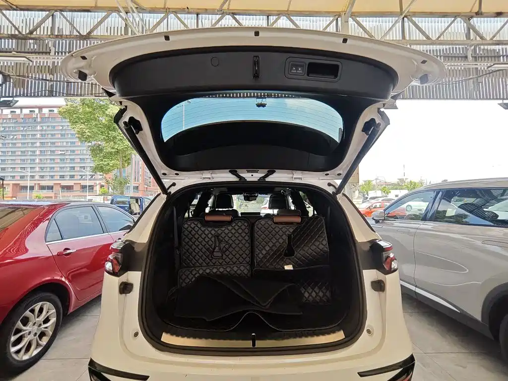 BYD Tang New Energy — миниатюра 19