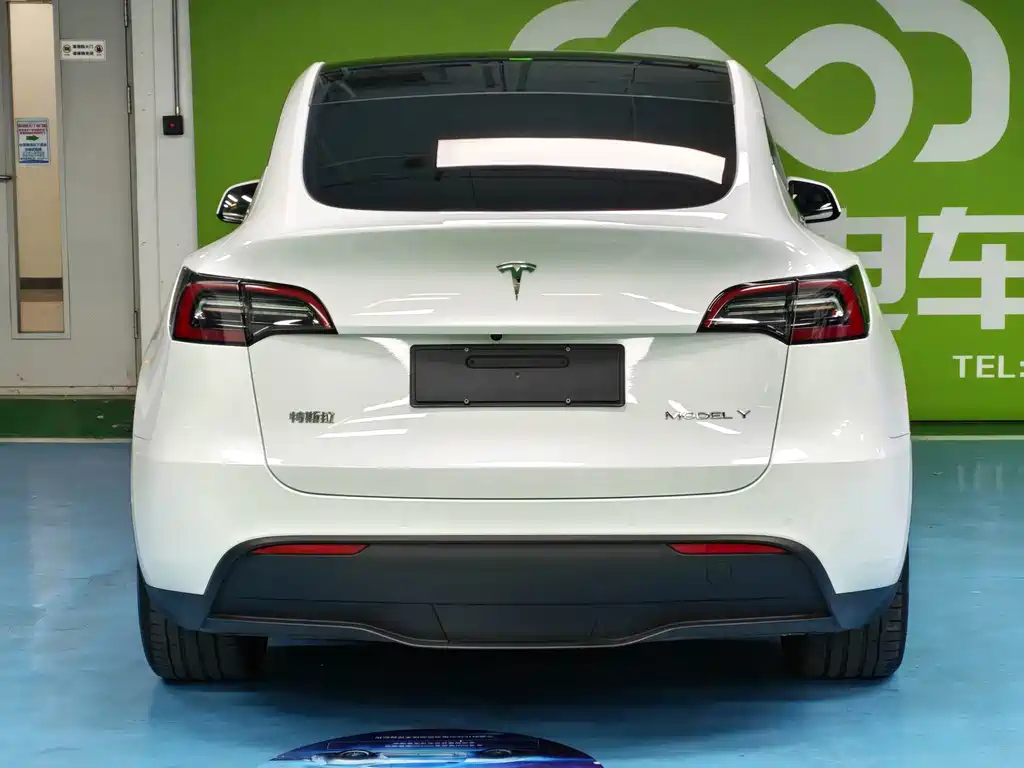 Tesla Model Y — миниатюра 15