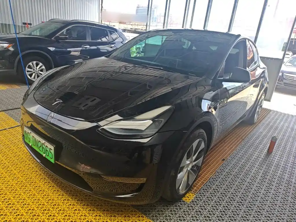Tesla Model Y — миниатюра 2