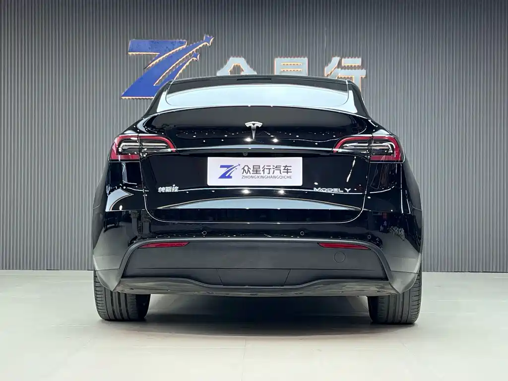 Tesla Model Y — миниатюра 3