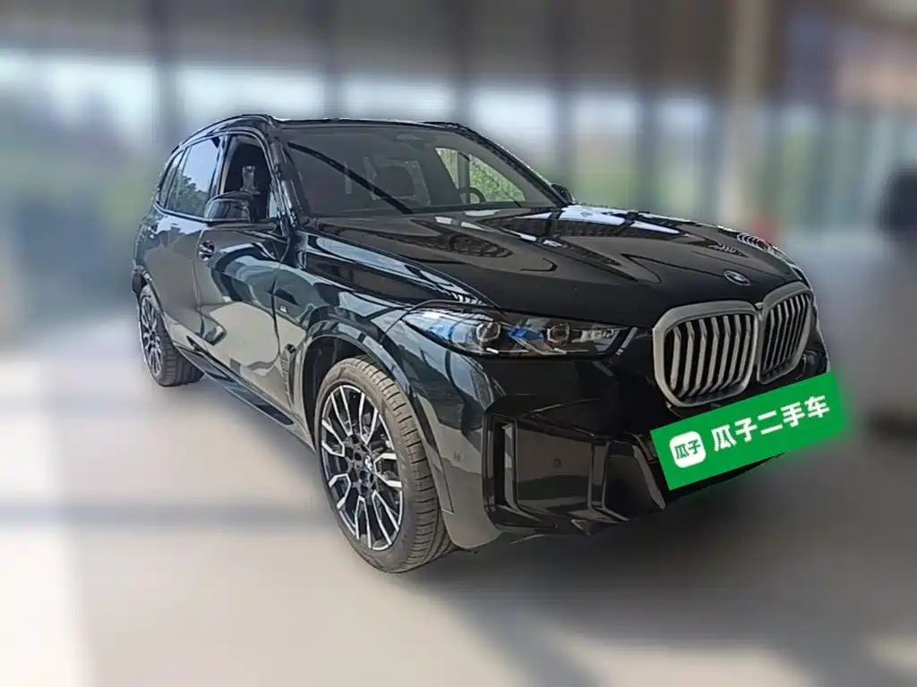 BMW X5 — миниатюра 6