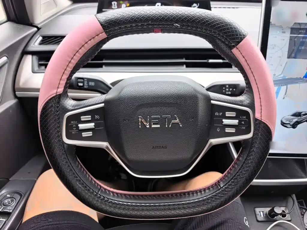 Neta Neta V — миниатюра 11