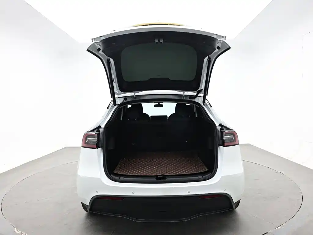 Tesla Model Y — миниатюра 9