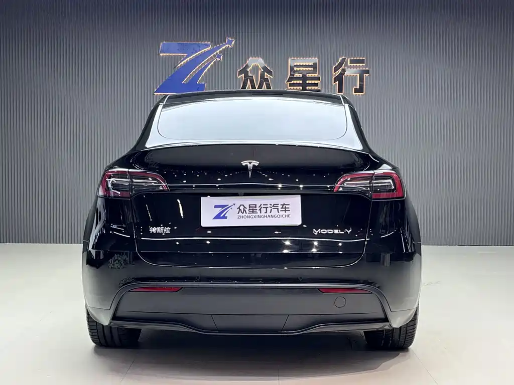 Tesla Model Y — миниатюра 4
