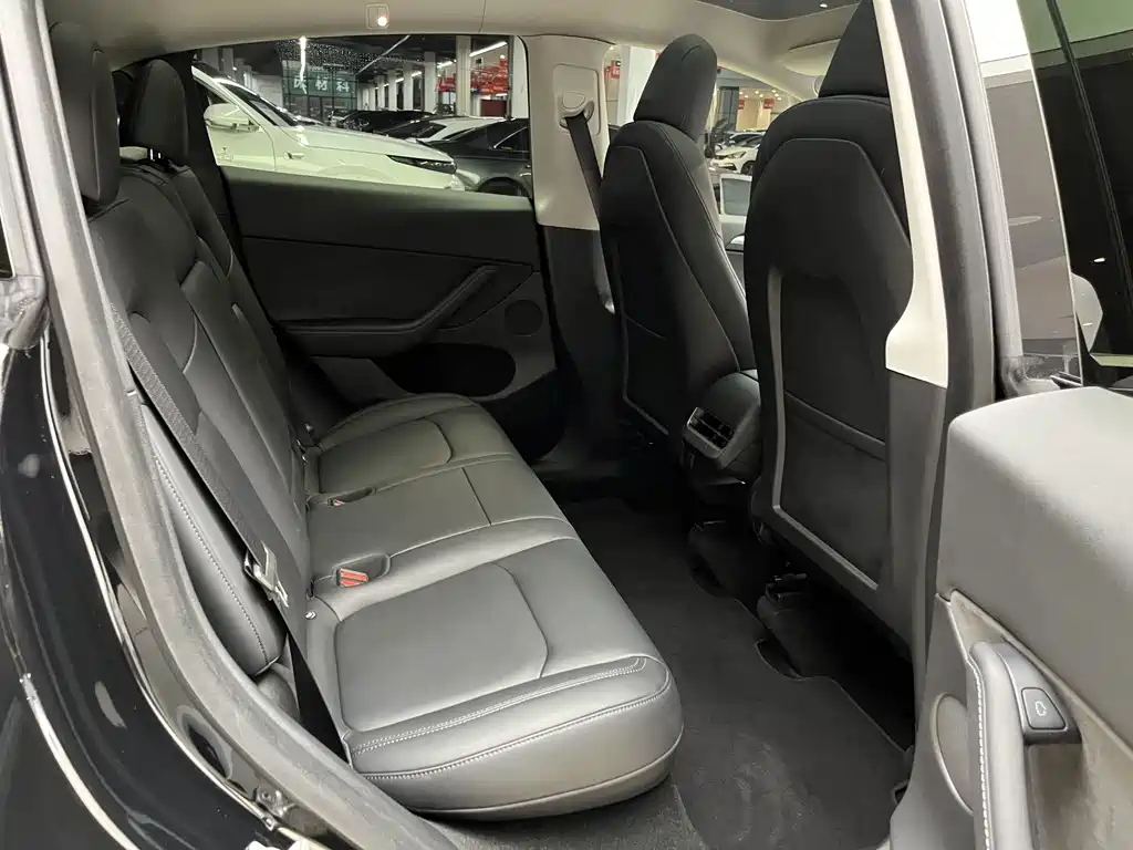 Tesla Model Y — миниатюра 15
