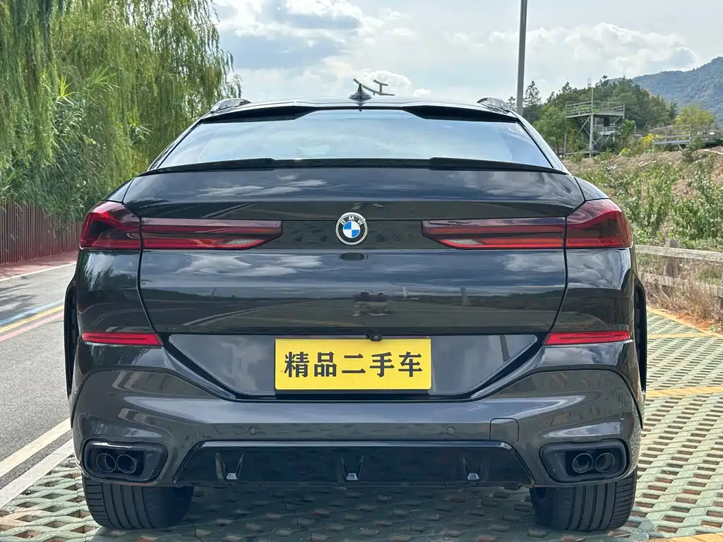 BMW X6 — миниатюра 20