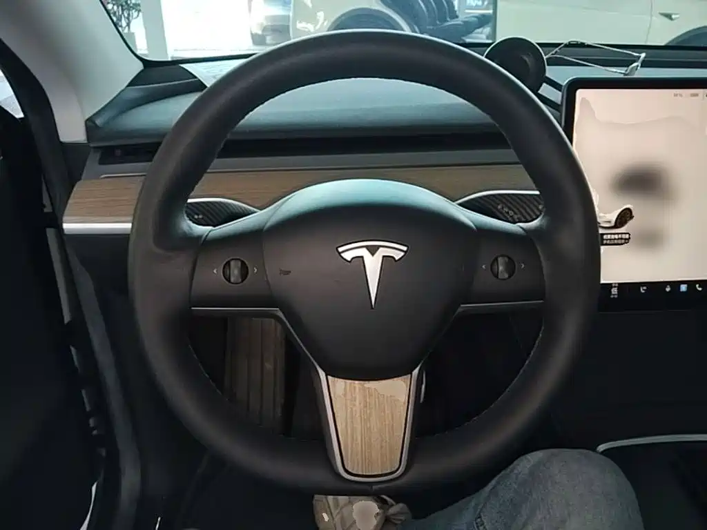 Tesla Model Y — миниатюра 11