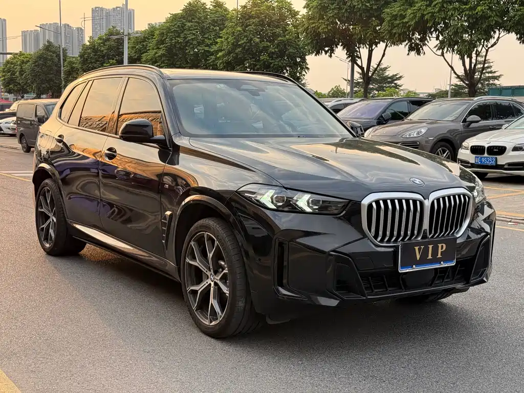 BMW X5 — миниатюра 2