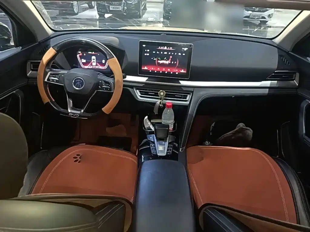 BYD Pro — миниатюра 10