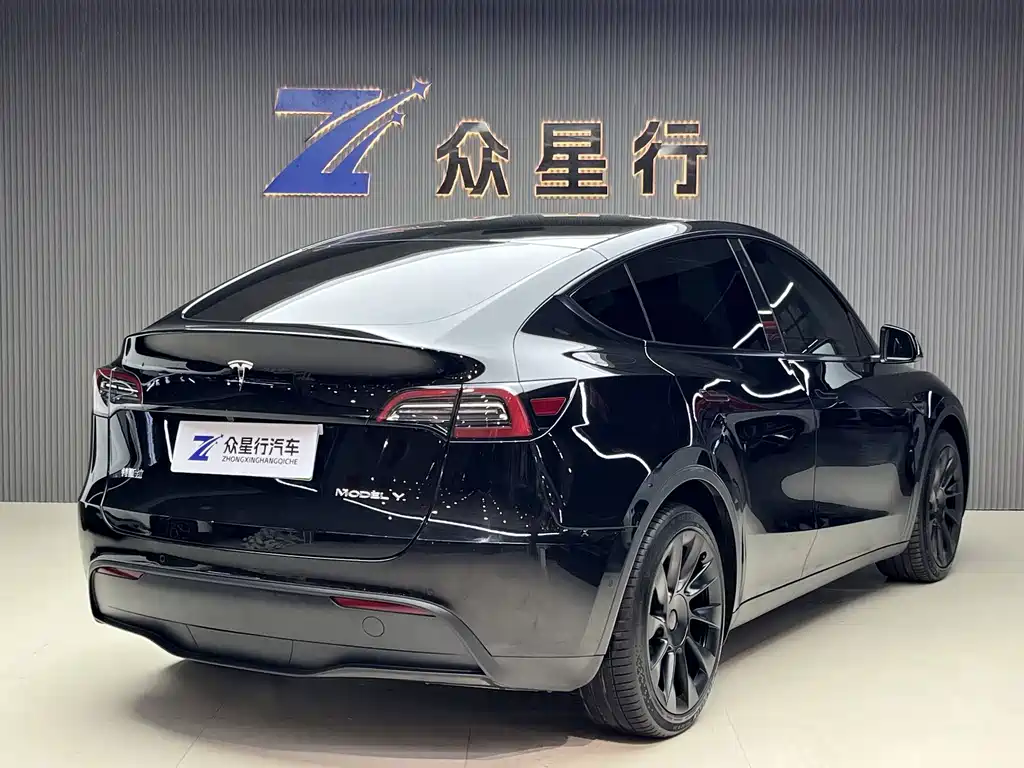 Tesla Model Y — миниатюра 5