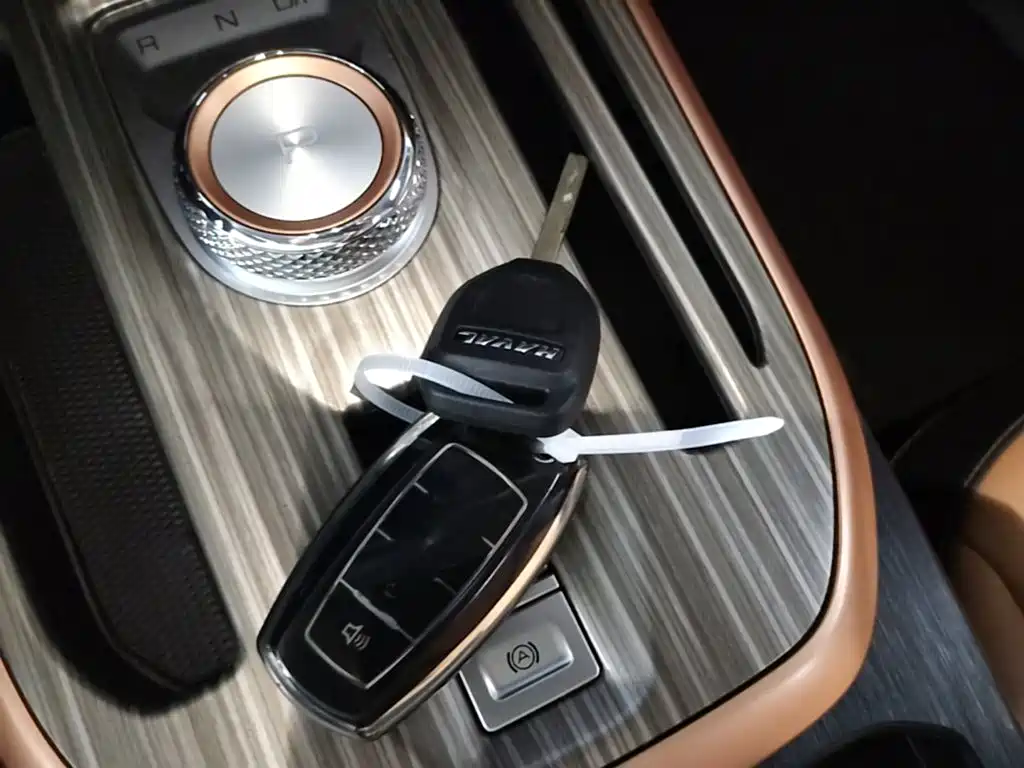 Haval Chulian — миниатюра 9