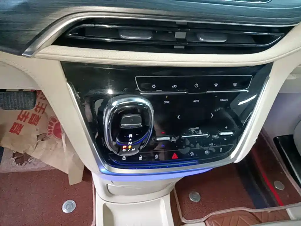 Buick GL8 — миниатюра 14