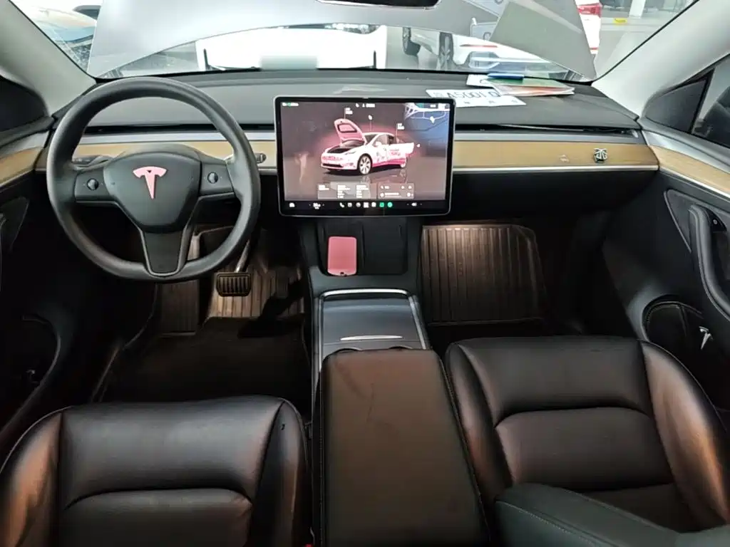 Tesla Model Y — миниатюра 10