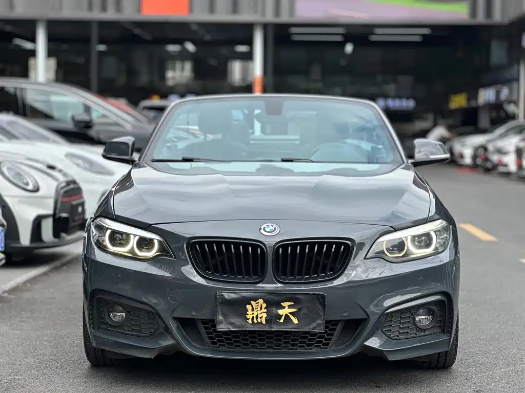 BMW 2 Series (Import) — миниатюра 10