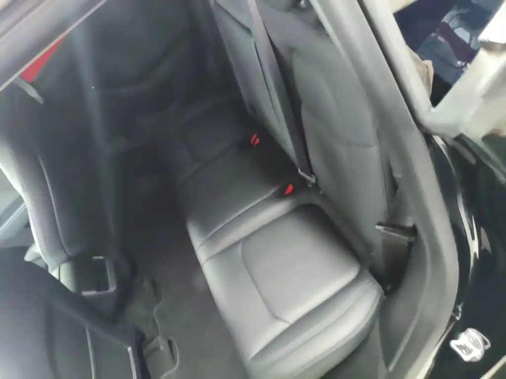 Tesla Model Y — миниатюра 17