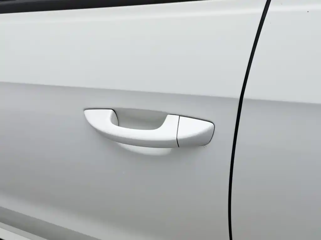 Volkswagen Gran Lavida — миниатюра 18