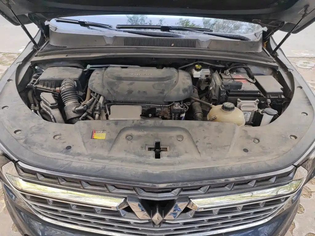 Wuling Victory — миниатюра 21