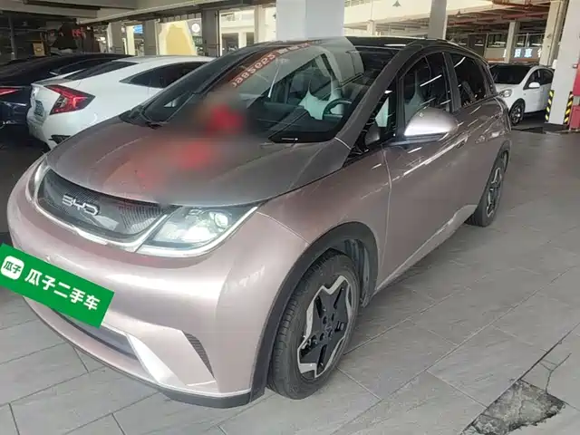 2022 BYD Dolphin