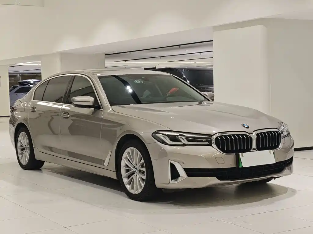 BMW 5 Series New Energy — миниатюра 2